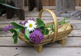 Trug